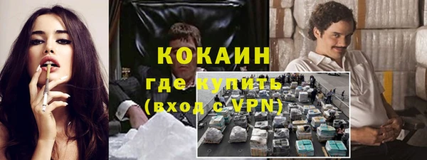 сатива Долгопрудный